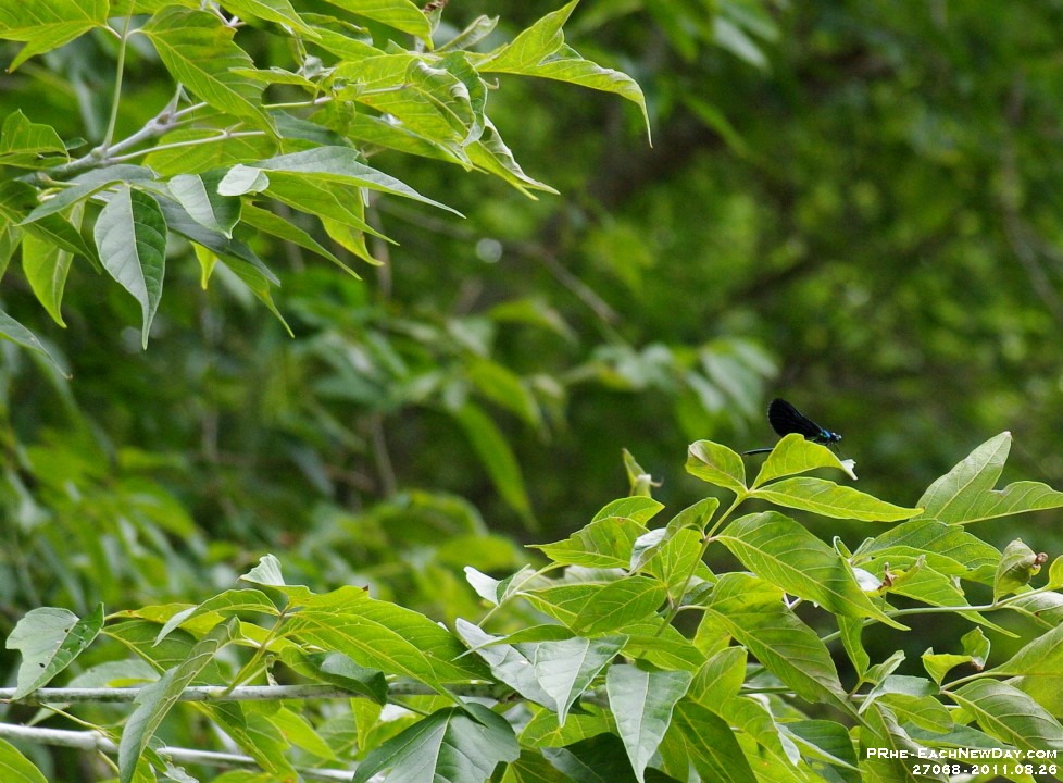 27068CrLe - Beth and Pete's Excellent Kayak Adventure - Part One